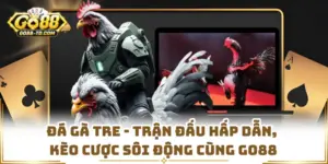 Đá Gà Tre - Trận Đấu Hấp Dẫn, Kèo Cược Sôi Động Cùng GO88