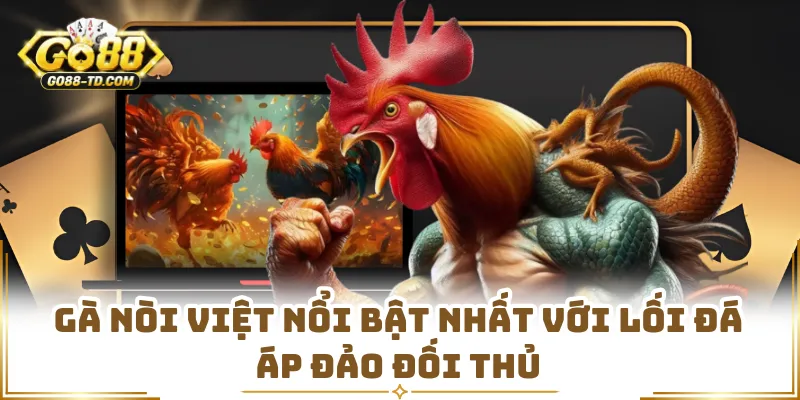 Gà Nòi Việt Nổi Bật Nhất Với Lối Đá Áp Đảo Đối Thủ