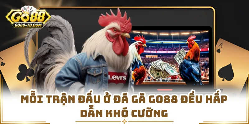 Mỗi Trận Đấu Ở Đá Gà GO88 Đều Hấp Dẫn Khó Cưỡng